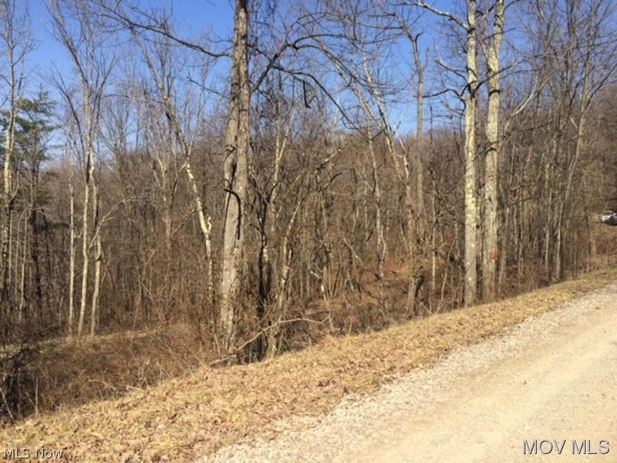 9.790 acres located in Monroe County. Mostly wooded with a creek running through back of property. An old pump house is on property but not in use. Perfect location for a small cabin or your dream home! No utilities. Seller is ready to entertain all offers. Asking $35,000. M810 AY  Elem: Skyvue Elementary  Elem/Bus: Y  JrHigh: Switzerland Middle School  JrHigh/Bus: Y  High: Monroe Central  High/Bus: Y  Fire: VOL  Police: SHF