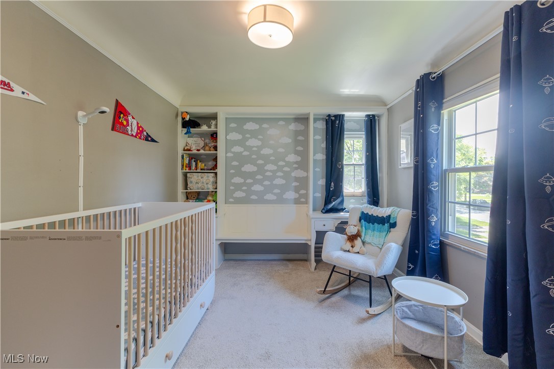 4541 South Hills Drive, Cleveland, Ohio image 33