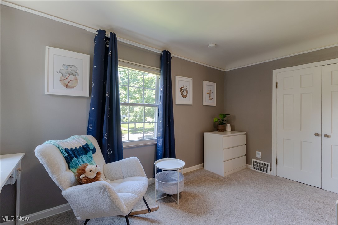 4541 South Hills Drive, Cleveland, Ohio image 35