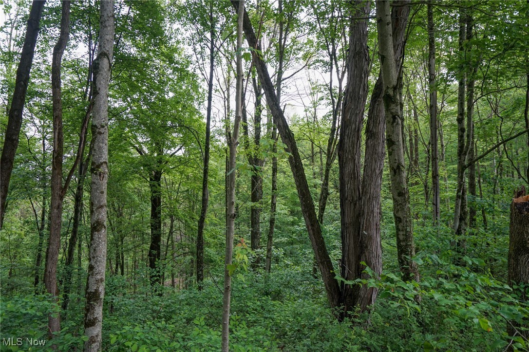 Township Rd 460, Woodsfield, Ohio image 19