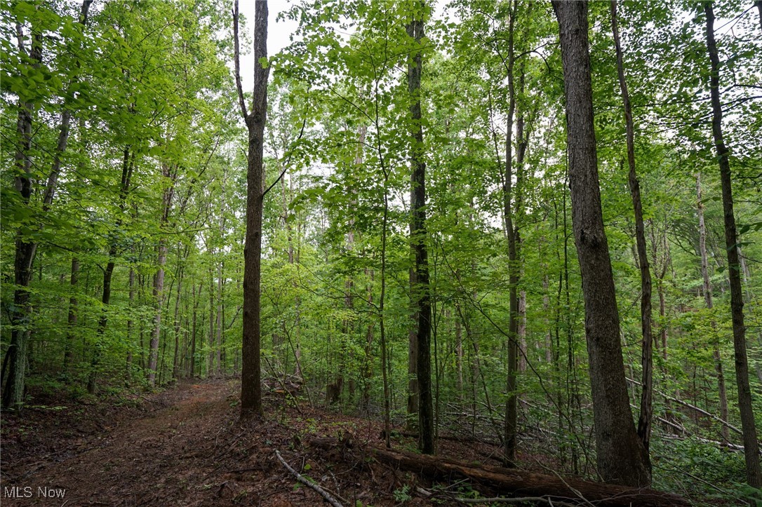 Township Rd 460, Woodsfield, Ohio image 8