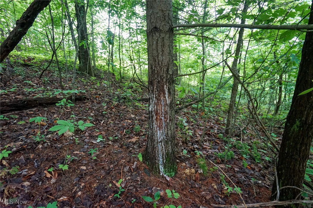 Township Rd 460, Woodsfield, Ohio image 4