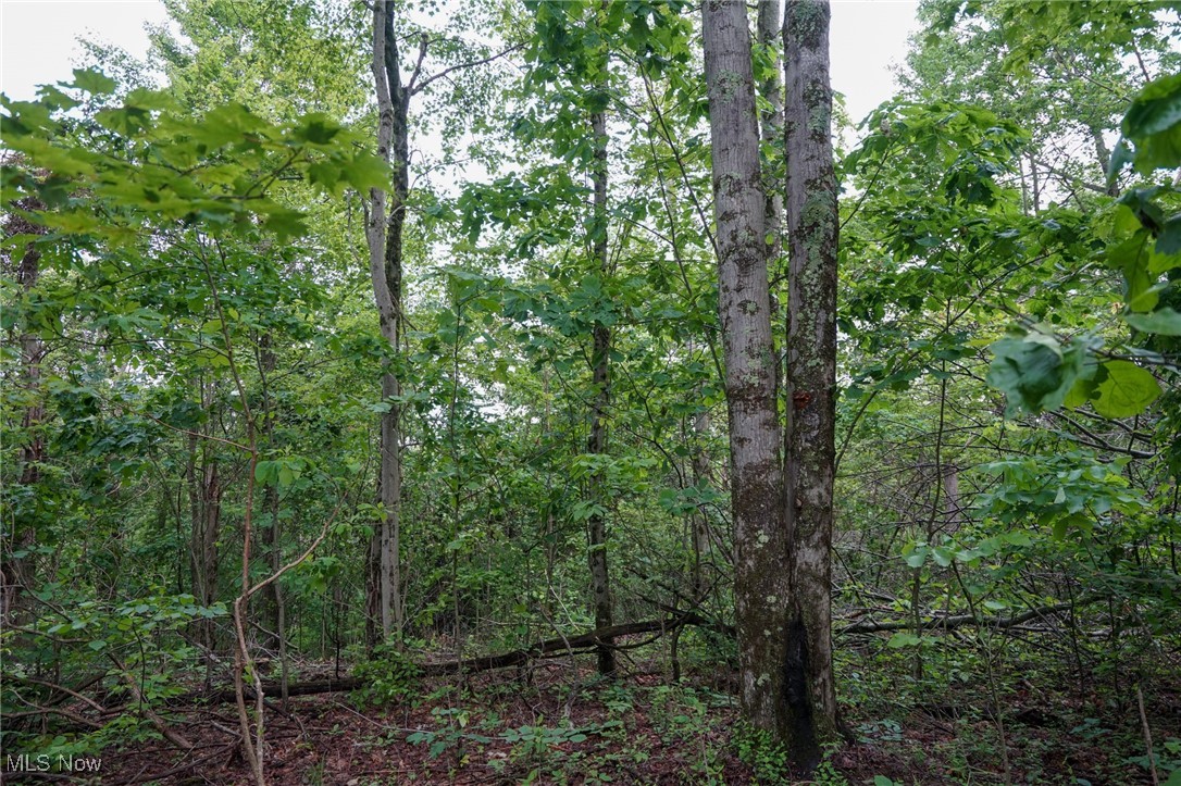 Township Rd 460, Woodsfield, Ohio image 17