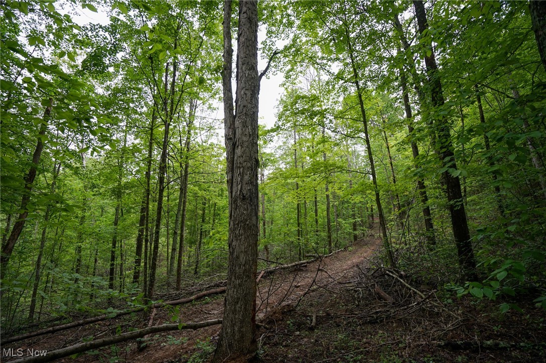Township Rd 460, Woodsfield, Ohio image 7