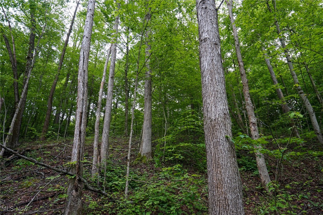 Township Rd 460, Woodsfield, Ohio image 1