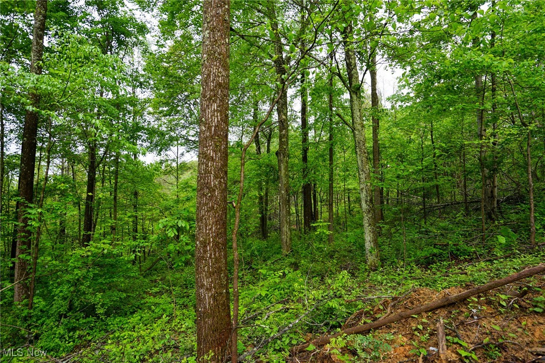 Township Rd 460, Woodsfield, Ohio image 12