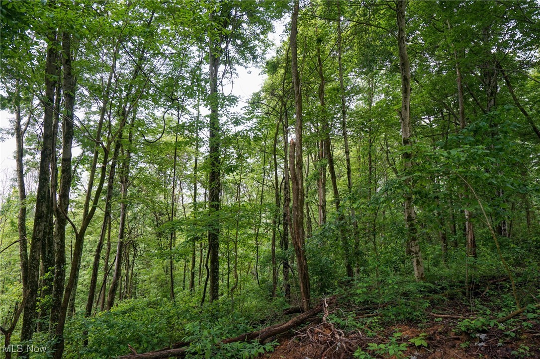 Township Rd 460, Woodsfield, Ohio image 14