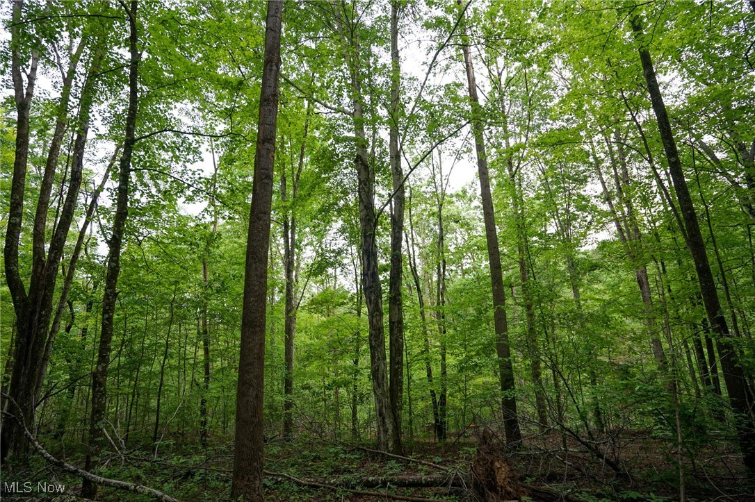 Township Rd 460, Woodsfield, Ohio image 6