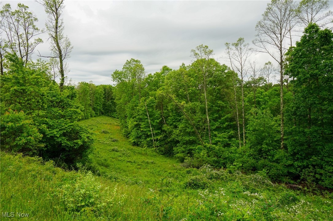Township Rd 460, Woodsfield, Ohio image 2