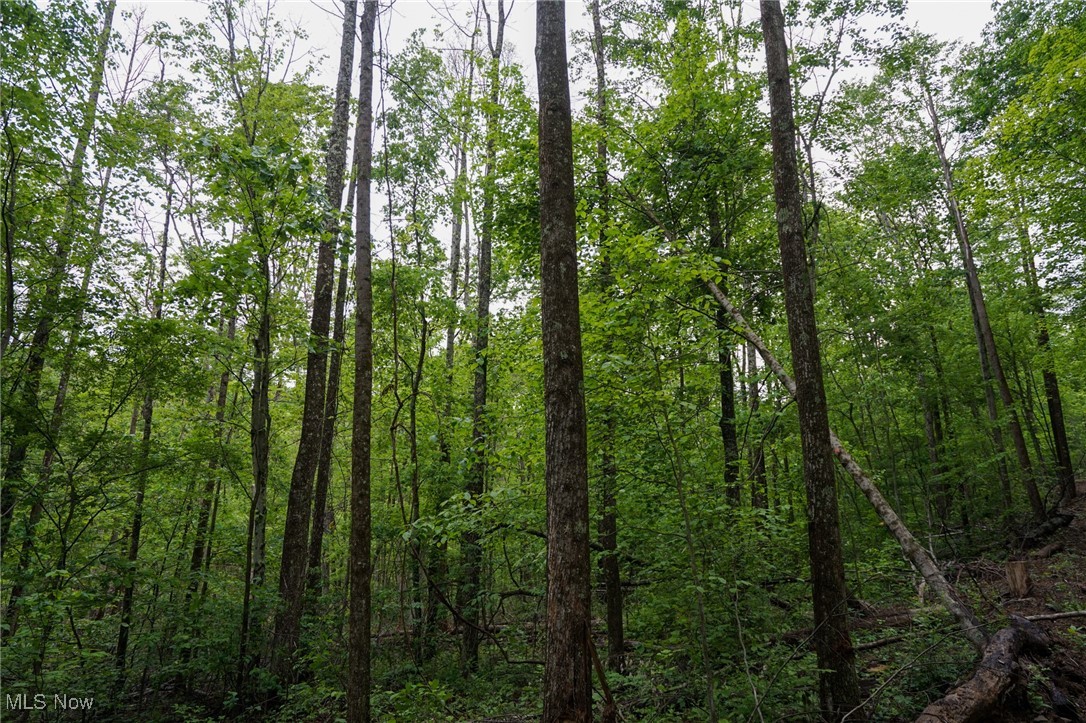 Township Rd 460, Woodsfield, Ohio image 9