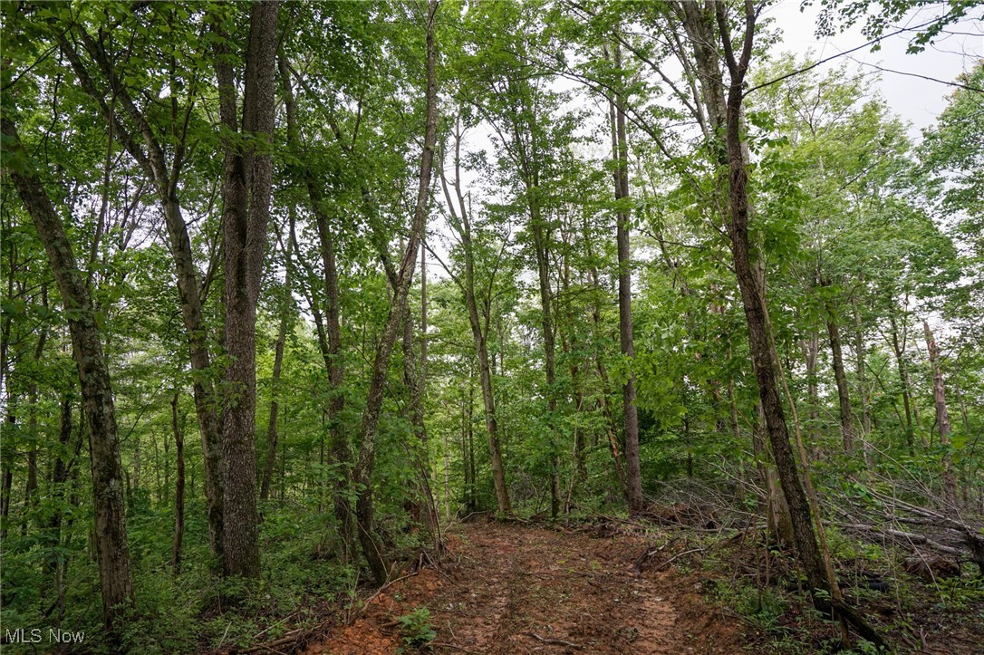 Township Rd 460, Woodsfield, Ohio image 16