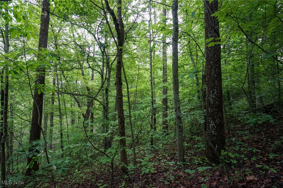 Township Rd 460, Woodsfield, Ohio image 3