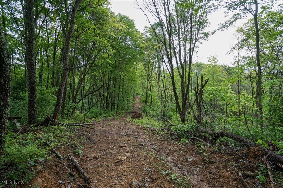 Township Rd 460, Woodsfield, Ohio image 18