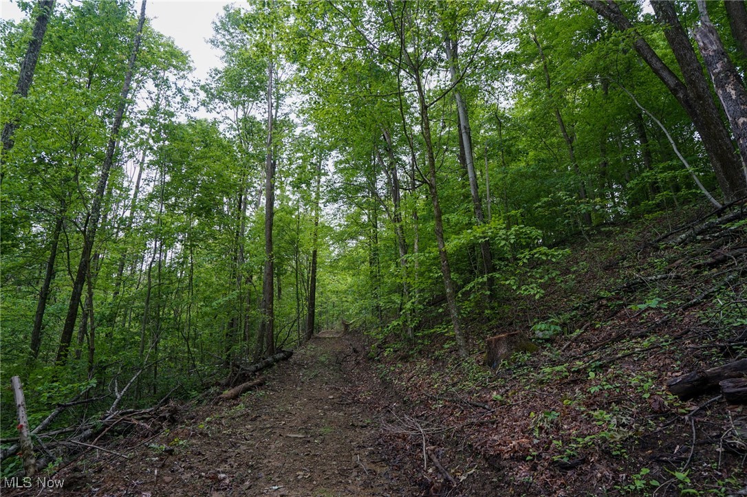 Township Rd 460, Woodsfield, Ohio image 10