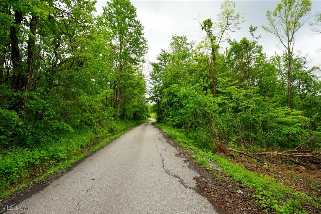 Township Rd 460, Woodsfield, Ohio image 22