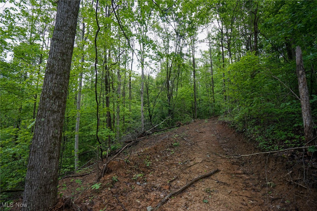 Township Rd 460, Woodsfield, Ohio image 11
