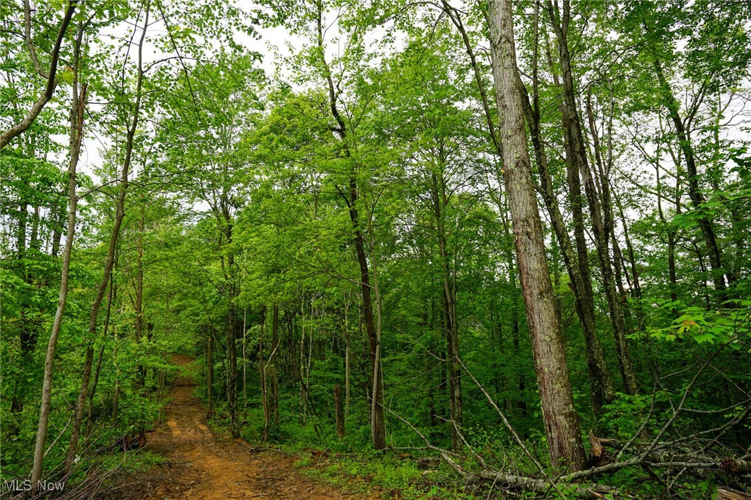 Township Rd 460, Woodsfield, Ohio image 13