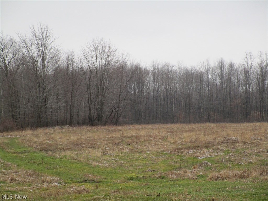 Williamsfield - Land