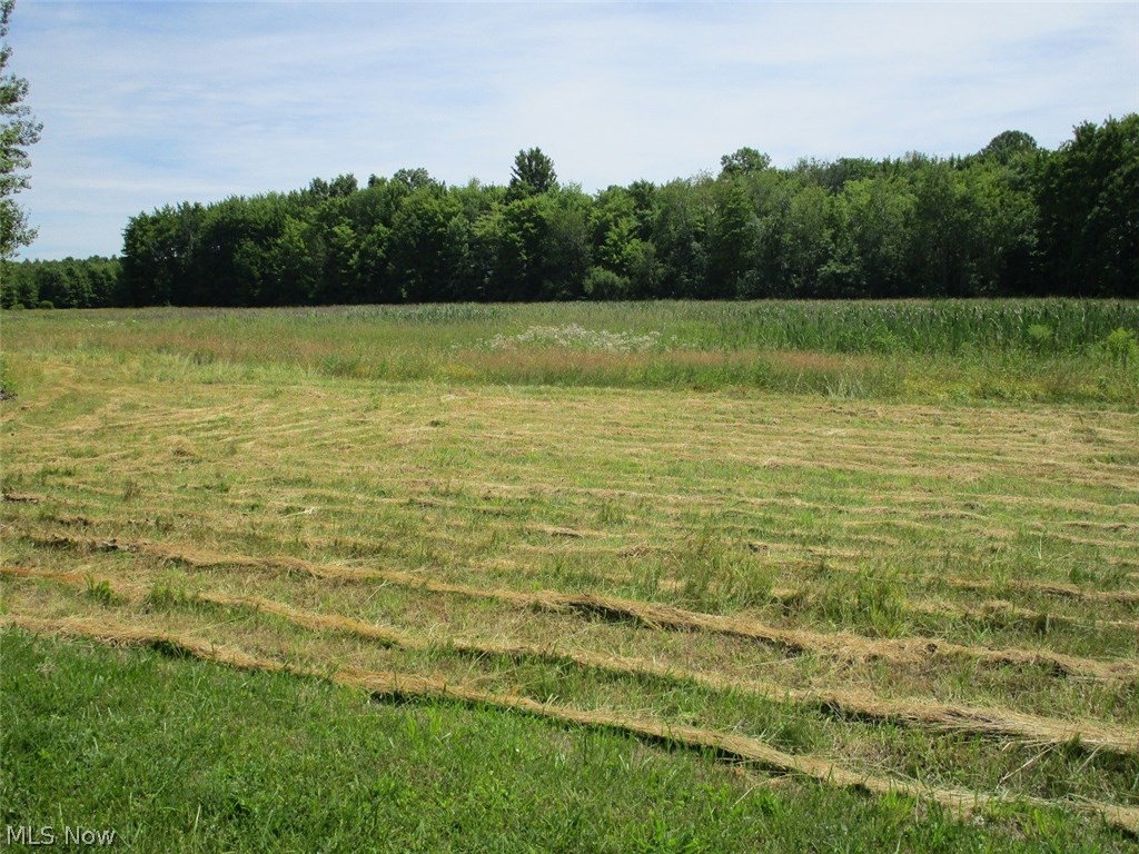 Williamsfield - Land