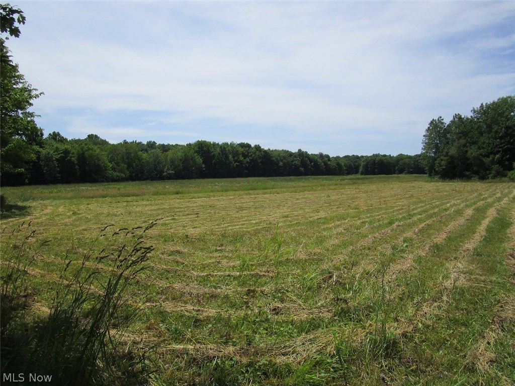 Williamsfield - Land