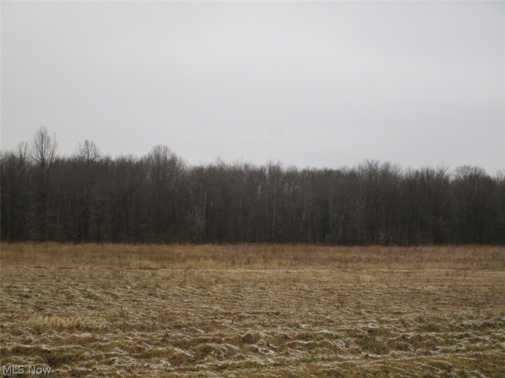 Williamsfield - Land