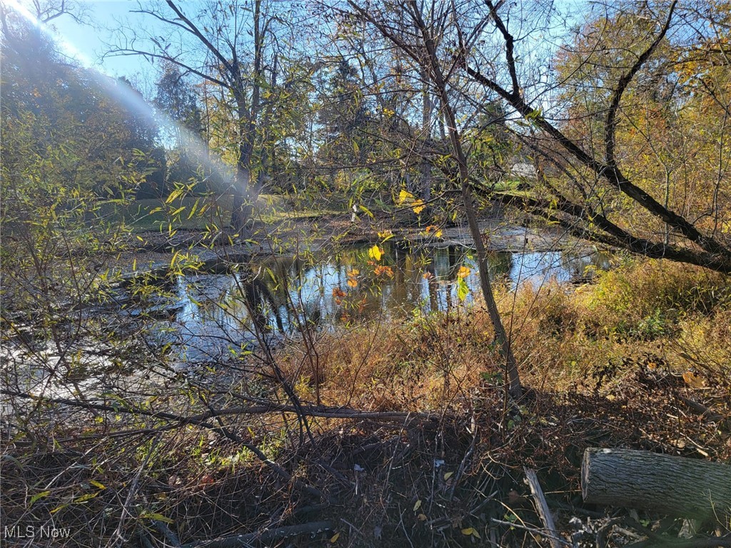 East Avenue, Elyria, Ohio image 4