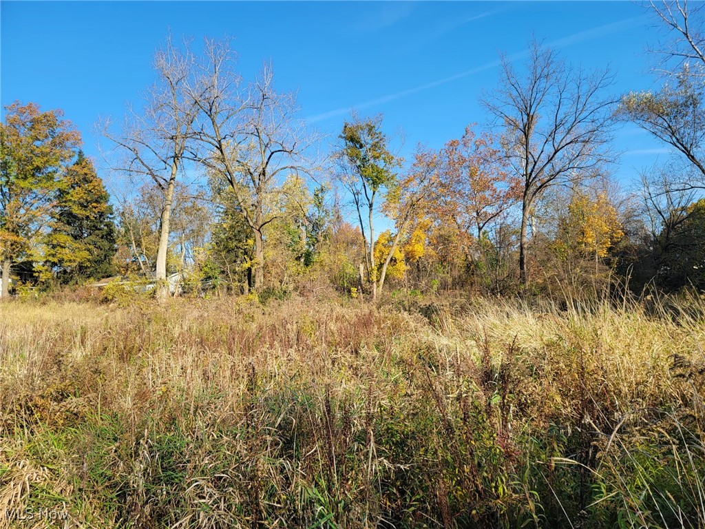 East Avenue, Elyria, Ohio image 8