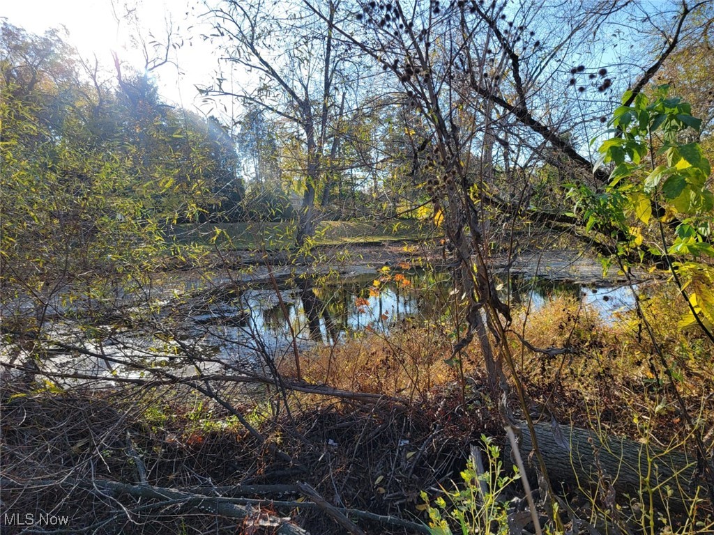 East Avenue, Elyria, Ohio image 3