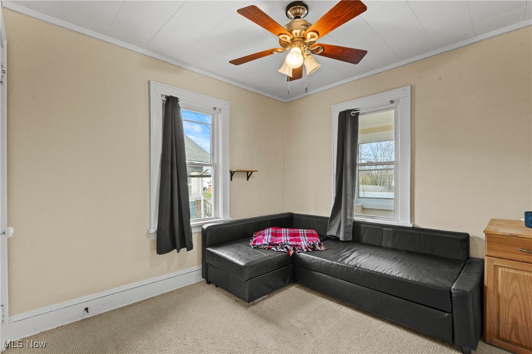 Quayle Drive Allotment - Residential