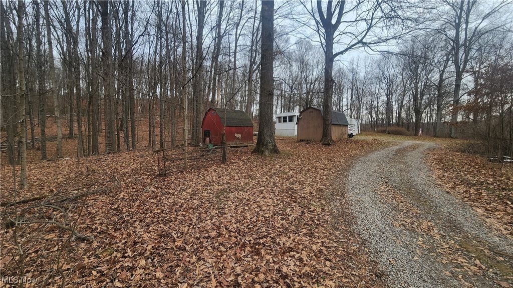 Photo of 69800 Skull Fork Road, Freeport, OH 43973 (MLS # 5176294)