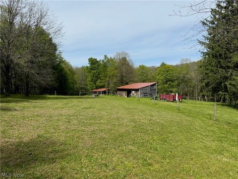 Tiny photo for 11811 Gaston Road, Negley, OH 44441 (MLS # 5209527)