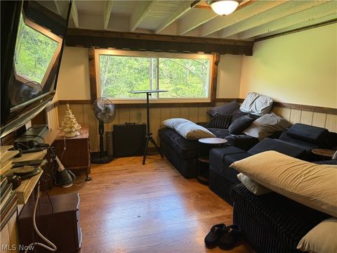 Tiny photo for 11811 Gaston Road, Negley, OH 44441 (MLS # 5209527)