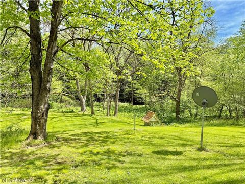 Tiny photo for 11811 Gaston Road, Negley, OH 44441 (MLS # 5209527)