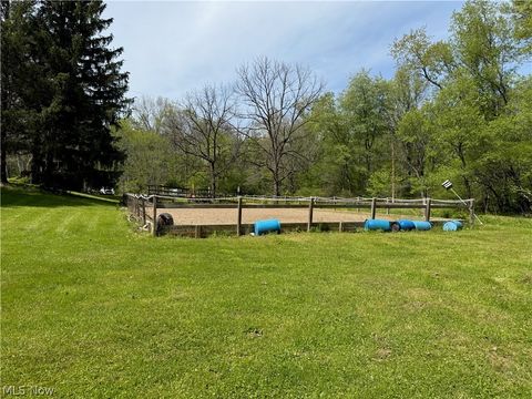 Tiny photo for 11811 Gaston Road, Negley, OH 44441 (MLS # 5209527)