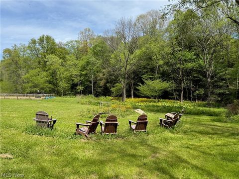Tiny photo for 11811 Gaston Road, Negley, OH 44441 (MLS # 5209527)