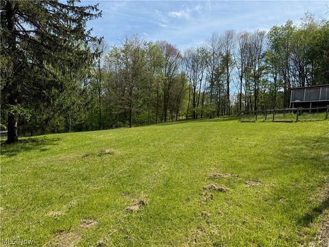 Tiny photo for 11811 Gaston Road, Negley, OH 44441 (MLS # 5209527)