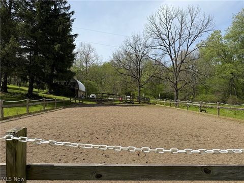Tiny photo for 11811 Gaston Road, Negley, OH 44441 (MLS # 5209527)