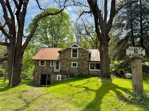 Tiny photo for 11811 Gaston Road, Negley, OH 44441 (MLS # 5209527)