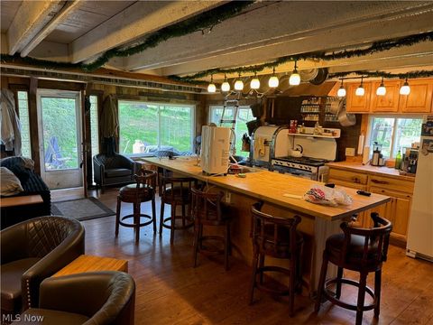 Tiny photo for 11811 Gaston Road, Negley, OH 44441 (MLS # 5209527)