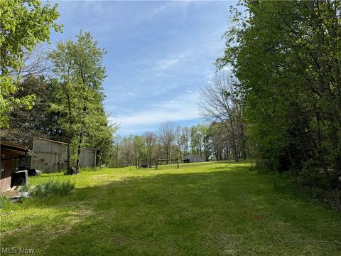 Tiny photo for 11811 Gaston Road, Negley, OH 44441 (MLS # 5209527)