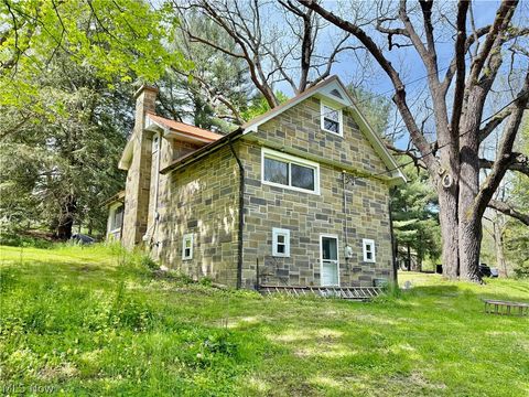 Tiny photo for 11811 Gaston Road, Negley, OH 44441 (MLS # 5209527)