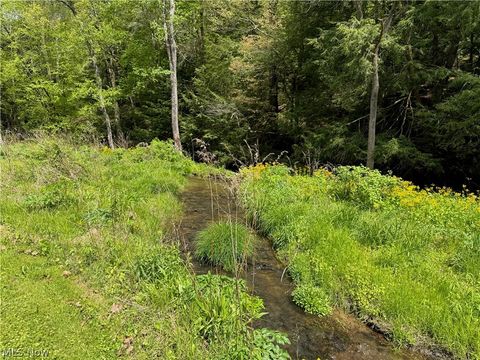Tiny photo for 11811 Gaston Road, Negley, OH 44441 (MLS # 5209527)