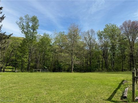 Tiny photo for 11811 Gaston Road, Negley, OH 44441 (MLS # 5209527)