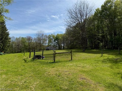 Tiny photo for 11811 Gaston Road, Negley, OH 44441 (MLS # 5209527)