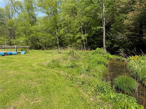 Tiny photo for 11811 Gaston Road, Negley, OH 44441 (MLS # 5209527)