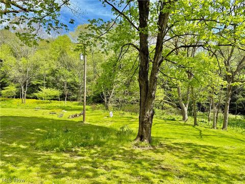 Tiny photo for 11811 Gaston Road, Negley, OH 44441 (MLS # 5209527)
