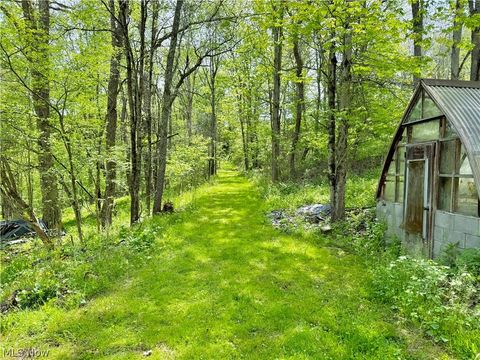 Tiny photo for 11811 Gaston Road, Negley, OH 44441 (MLS # 5209527)
