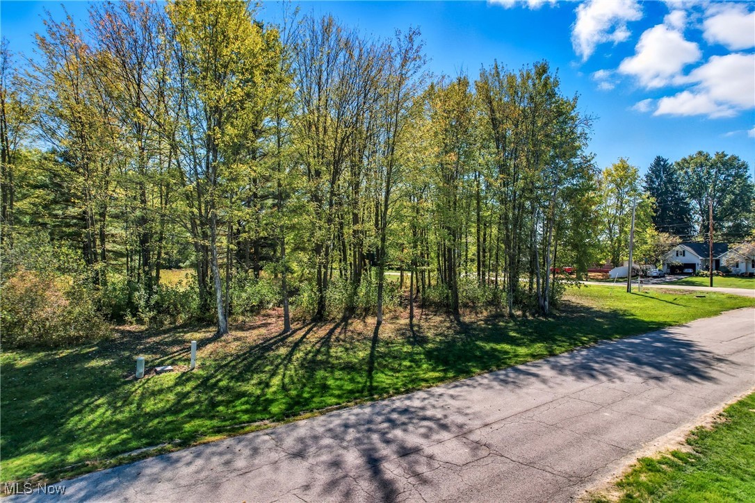 Rustling Pines Ph I - Land