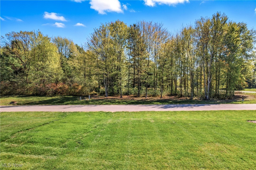 Rustling Pines Ph I - Land