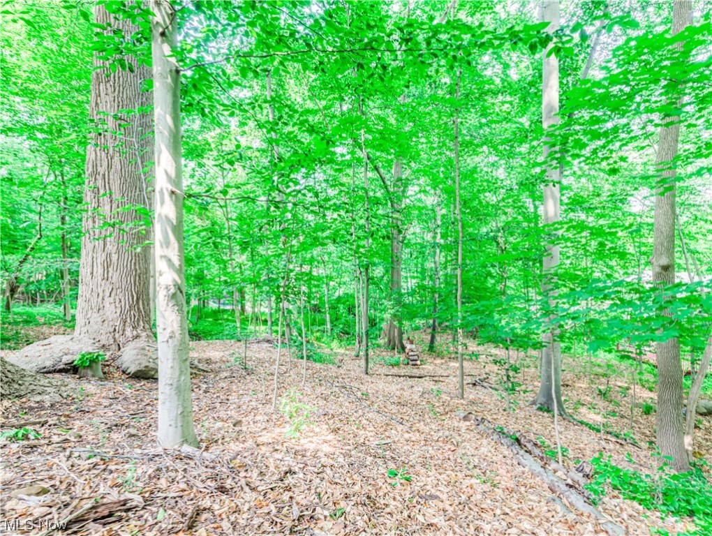Ridgewood Acres - Residential